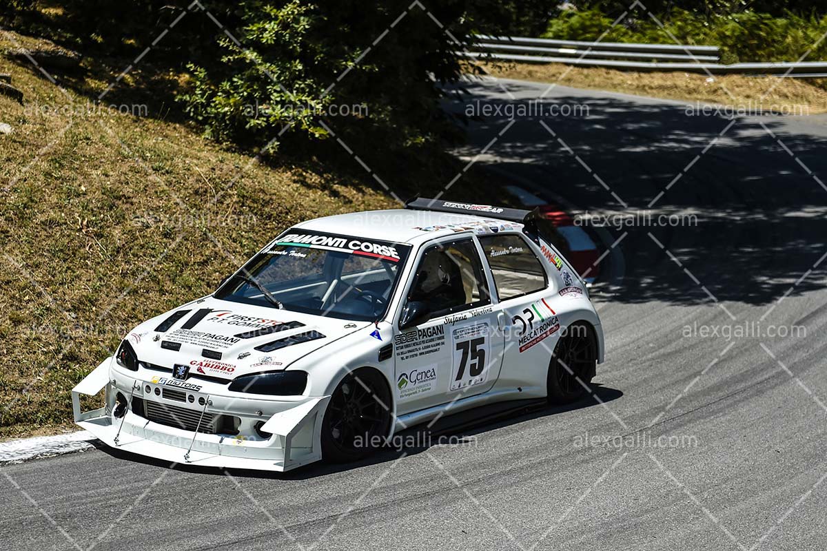 29 LUZZI SAMBUCINA 2025 | # 075 Tortora