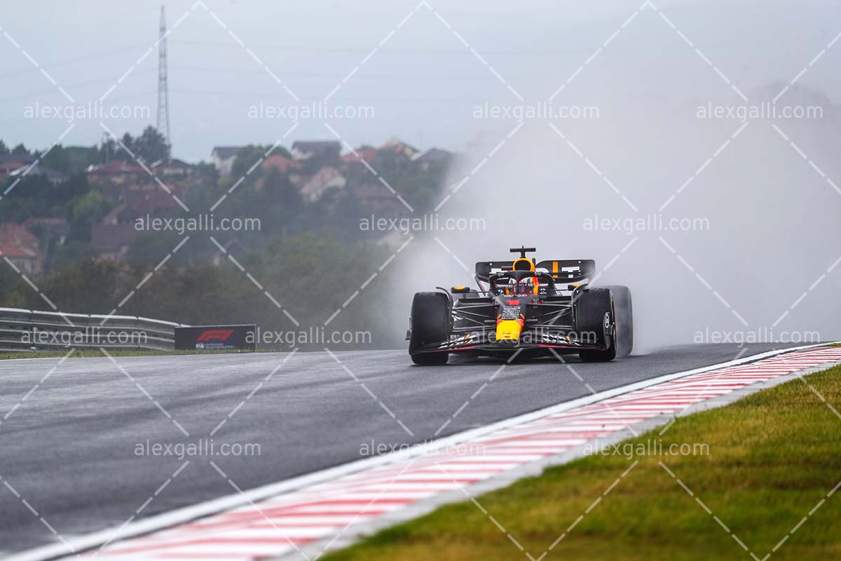 F1 2023 - 11 Hungary GP - Max Verstappen - Red Bull - 2311001