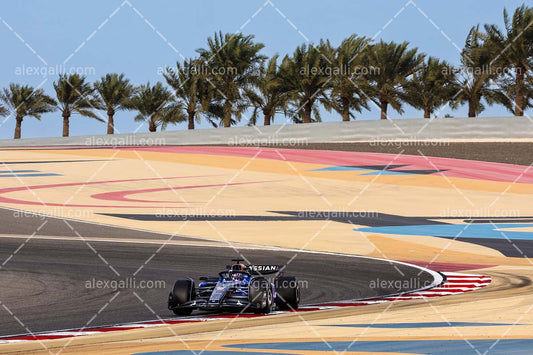 F1 2025 Alexander Albon - Williams - 202500202