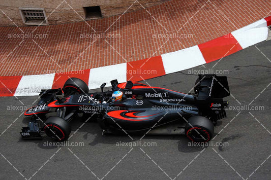 F1 2015 Fernando Alonso - McLaren - 20150011