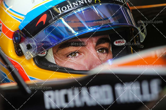 F1 2017 Fernando Alonso - McLaren - 20170001