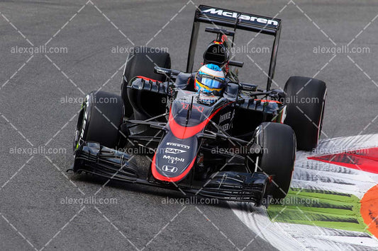 F1 2015 Fernando Alonso - McLaren - 20150001
