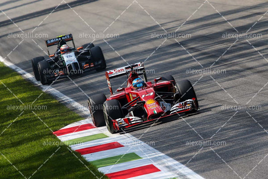 F1 2014 Fernando Alonso - Ferrari - 20140002