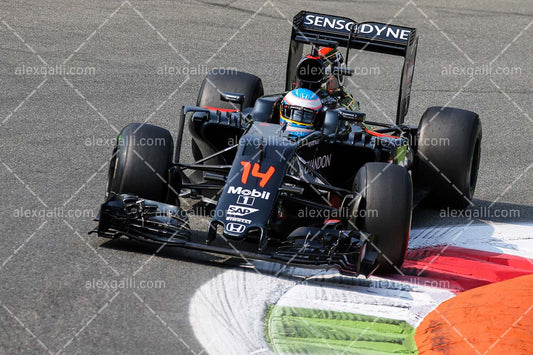 F1 2016 Fernando Alonso - McLaren - 20160003