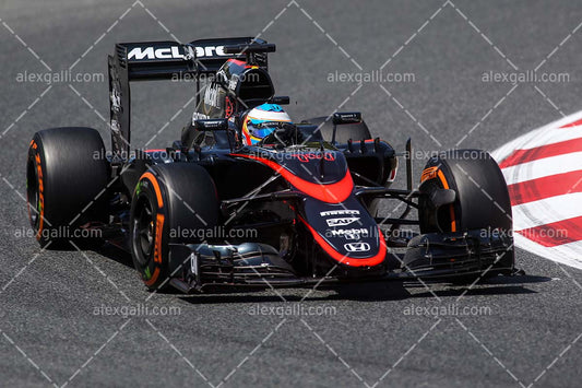 F1 2015 Fernando Alonso - McLaren - 20150003