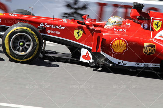 F1 2013 Fernando Alonso - Ferrari - 20130003
