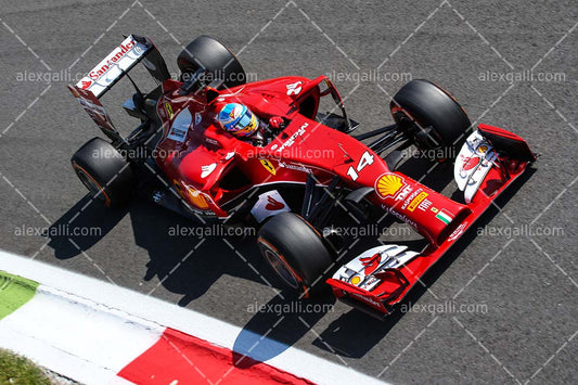 F1 2014 Fernando Alonso - Ferrari - 20140004