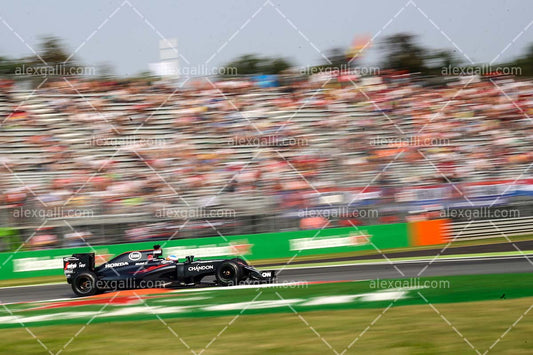F1 2016 Fernando Alonso - McLaren - 20160004