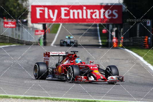 F1 2014 Fernando Alonso - Ferrari - 20140005