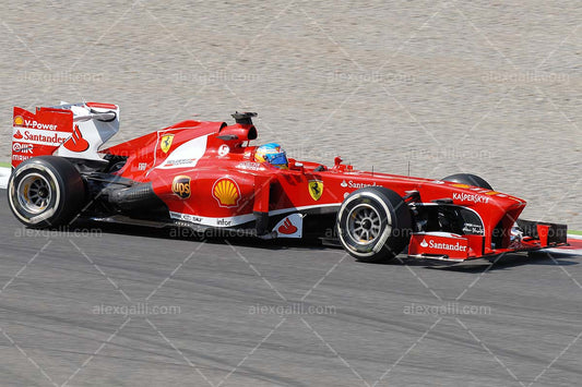 F1 2013 Fernando Alonso - Ferrari - 20130005
