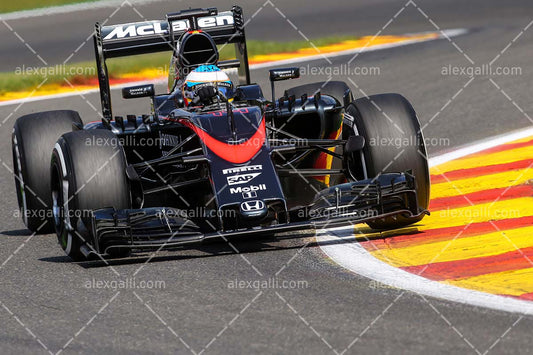 F1 2015 Fernando Alonso - McLaren - 20150005