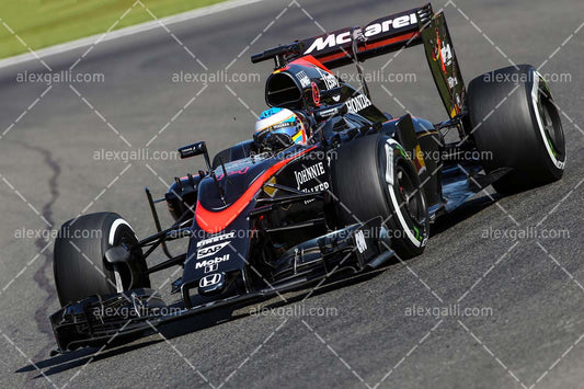 F1 2015 Fernando Alonso - McLaren - 20150006