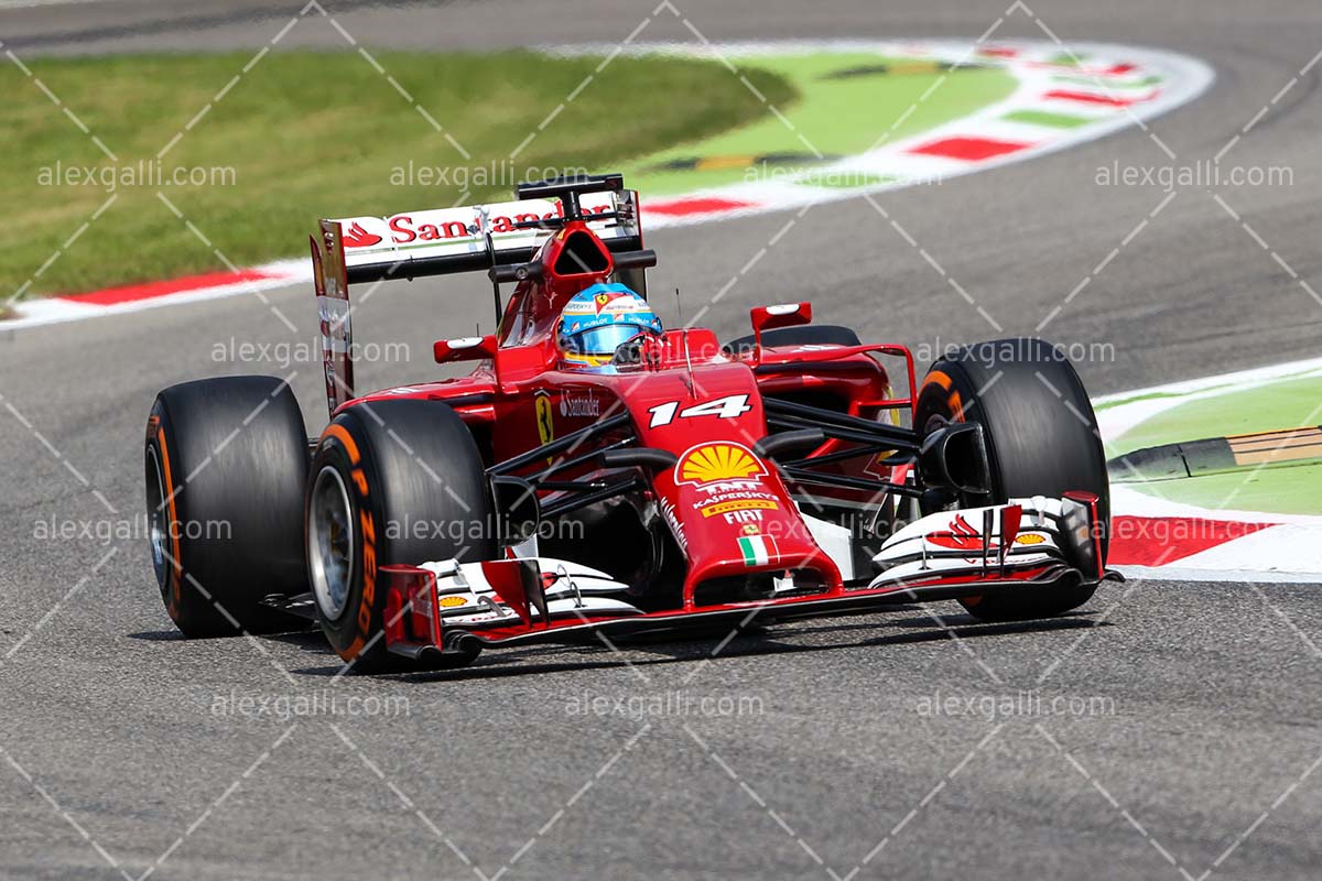 F1 2014 Fernando Alonso - Ferrari - 20140006