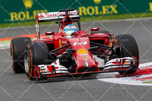 F1 2014 Fernando Alonso - Ferrari - 20140007