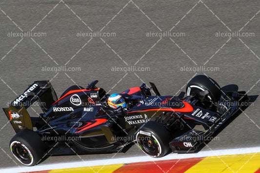 F1 2015 Fernando Alonso - McLaren - 20150007