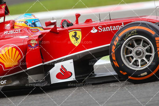 F1 2014 Fernando Alonso - Ferrari - 20140008