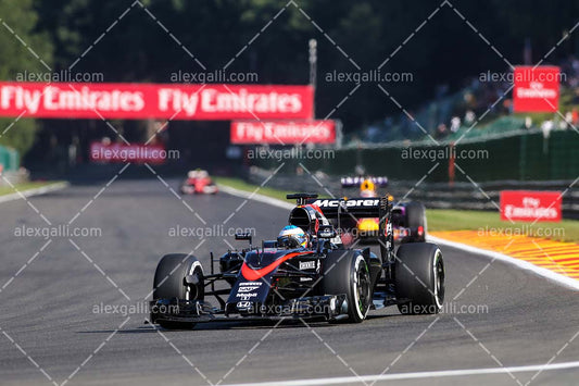 F1 2015 Fernando Alonso - McLaren - 20150008