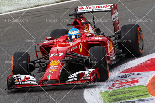F1 2014 Fernando Alonso - Ferrari - 20140009