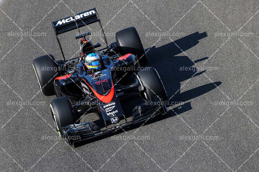 F1 2015 Fernando Alonso - McLaren - 20150009