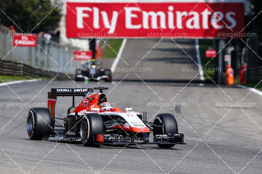 F1 2014 Jules Bianchi - Marussia - 20140011