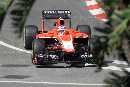 F1 2013 Jules Bianchi - Marussia - 20130006