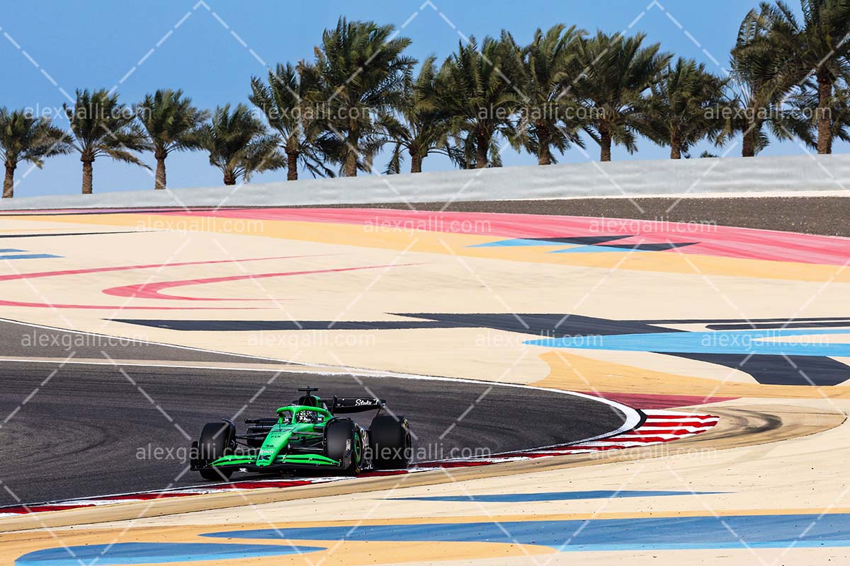 F1 2025 Gabriel Bortoleto - Sauber - 202500209