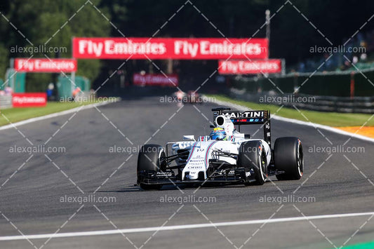 F1 2015 Valtteri Bottas - Williams - 20150015