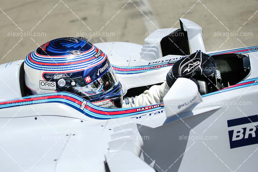 F1 2015 Valtteri Bottas - Williams - 20150017