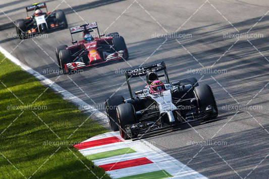 F1 2014 Jenson Button - McLaren - 20140022