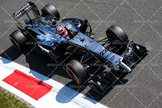 F1 2014 Jenson Button - McLaren - 20140023