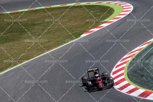 F1 2015 Jenson Button - McLaren - 20150024