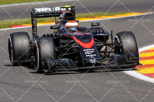 F1 2015 Jenson Button - McLaren - 20150025