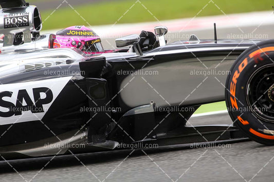 F1 2014 Jenson Button - McLaren - 20140025
