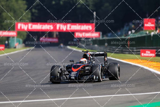 F1 2015 Jenson Button - McLaren - 20150027