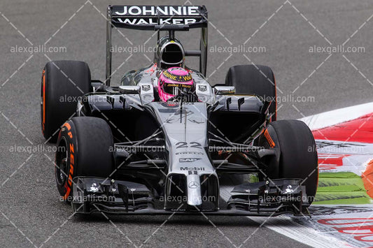 F1 2014 Jenson Button - McLaren - 20140026