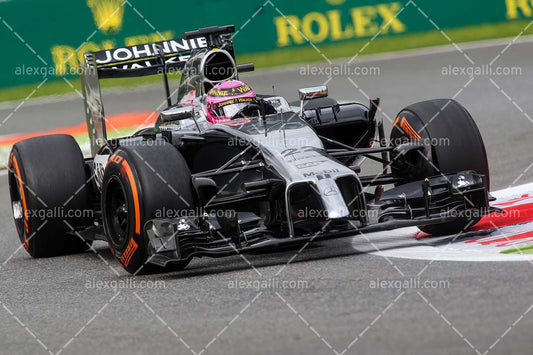 F1 2014 Jenson Button - McLaren - 20140027