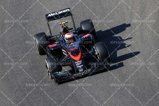 F1 2015 Jenson Button - McLaren - 20150028
