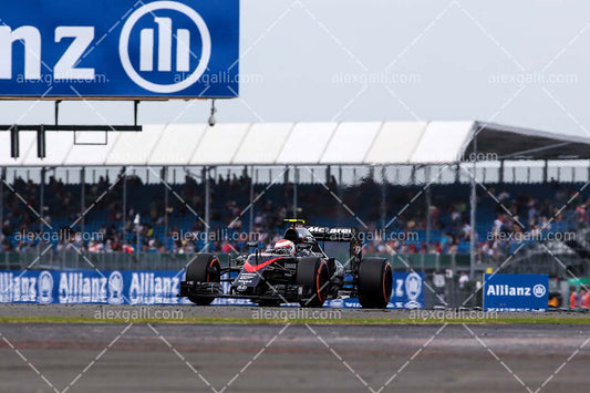 F1 2015 Jenson Button - McLaren - 20150029
