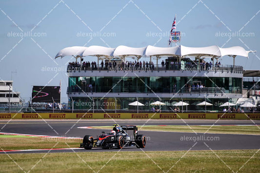 F1 2015 Jenson Button - McLaren - 20150030