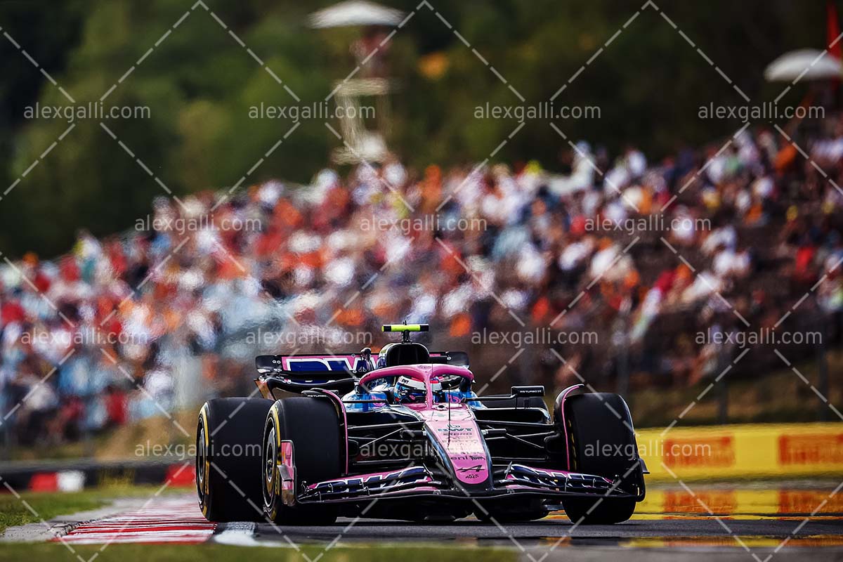 F1 2025 Franco Colapinto - Alpine - 202514002