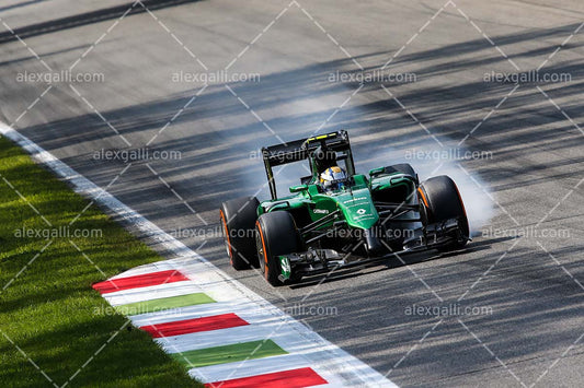 F1 2014 Marcus Ericsson - Caterham - 20140031