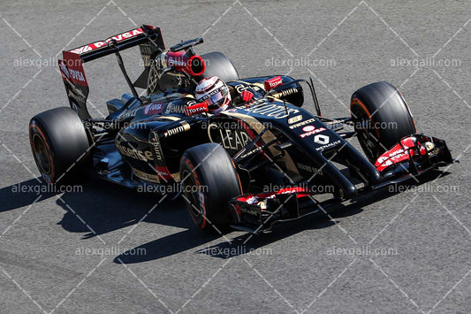 F1 2014 Romain Grosjean - Lotus - 20140035