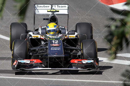 F1 2013 Esteban Gutierrez - Sauber - 20130017