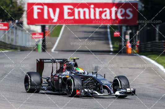 F1 2014 Esteban Gutierrez - Sauber - 20140038