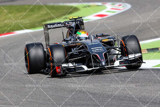 F1 2014 Esteban Gutierrez - Sauber - 20140039