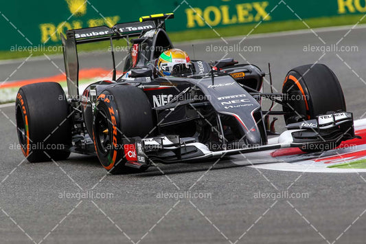 F1 2014 Esteban Gutierrez - Sauber - 20140040