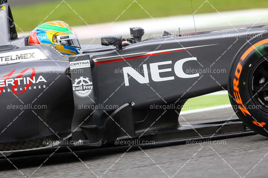 F1 2014 Esteban Gutierrez - Sauber - 20140041