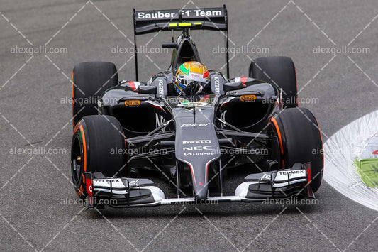 F1 2014 Esteban Gutierrez - Sauber - 20140042