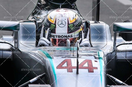 F1 2016 Lewis Hamilton - Mercedes - 20160034