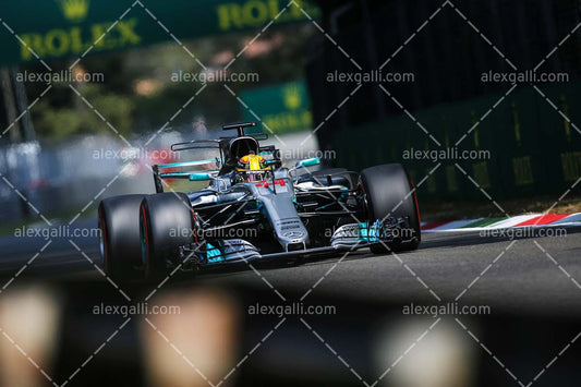 F1 2017 Lewis Hamilton - Mercedes - 20170027